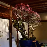 Cozyhouse 211 Free Wifi A Rented Electric Bicycle